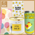 Geschenkbox Blumenersatz – Originelles Geschenk statt Blumen (Set 2)