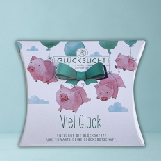 Glückslicht GLÜCKSSCHWEINE - VIEL GLÜCK!