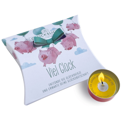 Glückslicht GLÜCKSSCHWEINE - VIEL GLÜCK!