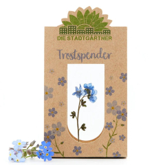 Geschenktüte Trostspender „Kleine Aufmunterung für dich“ (Set 22)